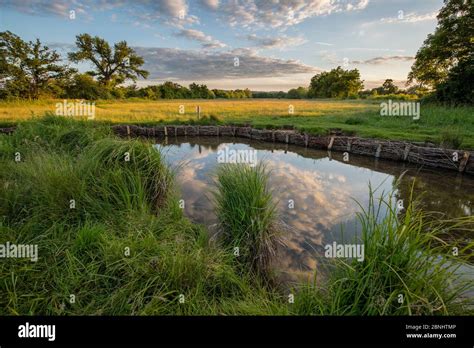 Grey Stones Nature Reserve Wild Life Trust .